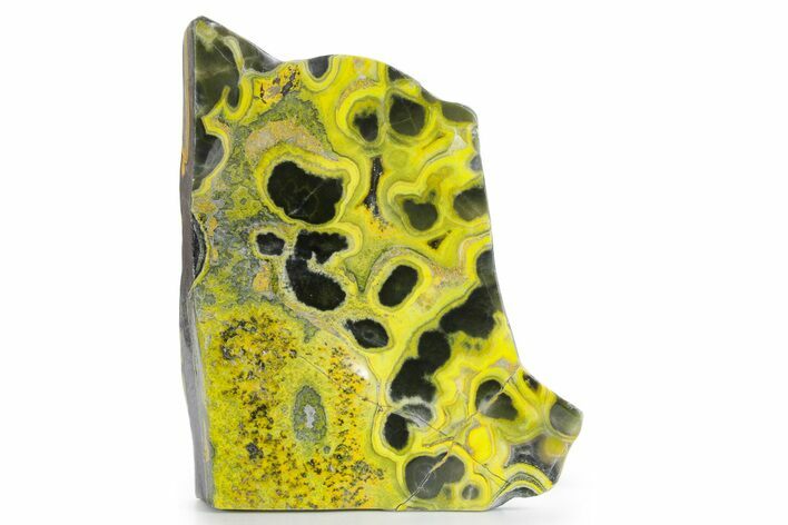 Very Vibrant, Polished Bumblebee Jasper #358623